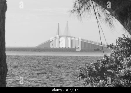 La ville de Tampa Bay se déploie depuis l'eau, offrant une perspective raffinée de son horizon moderne et de son front de mer dynamique. Vu d'un bateau, le cit Banque D'Images