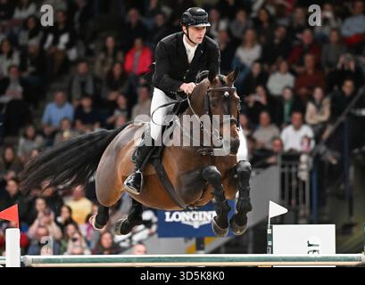 Stuttgart, Allemagne. 16 novembre 2025. Sport équestre/saut : Coupe du monde, compétition de saut d'obstacles avec saut d'obstacles. Richard Vogel d'Allemagne sur son étalon United Touch. Crédit : Bernd Weißbrod/dpa/Alamy Live News Banque D'Images