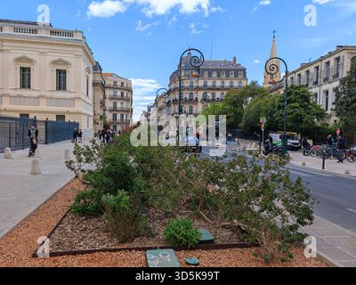 Rue de la ville avec bâtiments historiques et lampes décoratives Banque D'Images