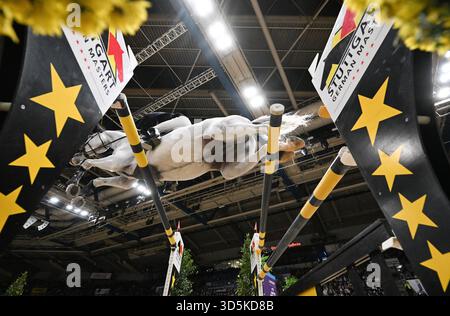 Stuttgart, Allemagne. 16 novembre 2025. Sport équestre/saut : Coupe du monde, compétition de saut d'obstacles avec saut d'obstacles. Un cheval touche la barre d'une haie avec ses pattes arrière dans le saut. Crédit : Bernd Weißbrod/dpa/Alamy Live News Banque D'Images