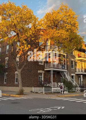 Automne à Villeray, Montréal, Canada Banque D'Images