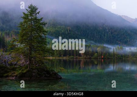 Lac de montagne brumeux à l'aube avec un arbre solitaire sur une île rocheuse et faible brouillard dérivant au-dessus de la forêt. Banque D'Images