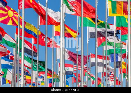 Drapeaux nationaux de nombreux pays agitant dans le vent, y compris le Brésil, l'Espagne, l'Arabie Saoudite, l'Irak, Oman, Sri Lanka, Macédoine, Éthiopie et Égypte, Doha Banque D'Images
