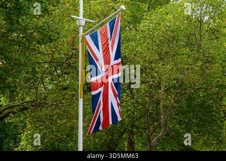Drapeau britannique de l'Union suspendu à un poteau en forme verticale contre le feuillage vert des arbres Banque D'Images