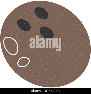 Pièce entière de fruits exotiques de noix de coco, ingrédients tropicaux isolés. En-cas savoureux ou ingrédients pour le dessert et les cocktails. Nutrition et alimentation sain pla Illustration de Vecteur