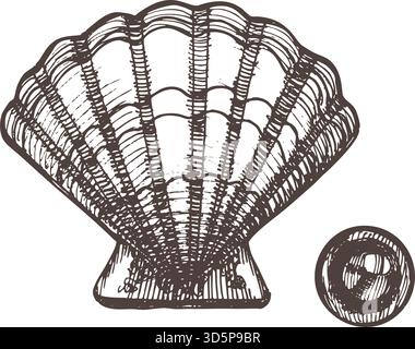 Coquillage vintage dessiné à la main avec illustration de perles dans le style de gravure. Croquis marin détaillé parfait pour les conceptions de plage, la marque nautique, l'emballage Illustration de Vecteur