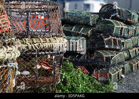 Pots de crabe et de homard sur la plage Banque D'Images