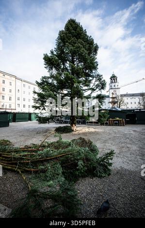 Aufbauarbeiten und Aufbau des Salzburger Christkindlmarktes am Residenzplatz und Domplatz am 11.11.2025. IM Bild : Der ungeschmückte Weihnachtsbaum am Tag seiner Anreise // préparation et installation du marché de Noël de Salzbourg à Residenzplatz et Domplatz le 11 novembre 2025. Sur la photo : le sapin de Noël non décoré le jour de son arrivée. - 20251111 PD20462 Banque D'Images
