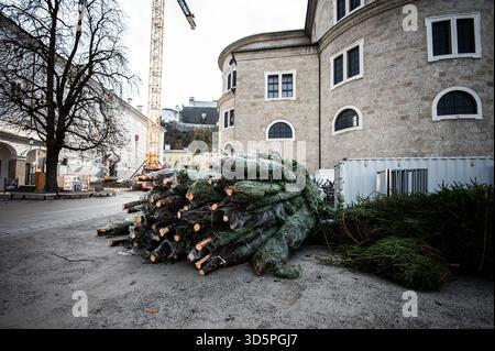 Aufbauarbeiten und Aufbau des Salzburger Christkindlmarktes am Residenzplatz und Domplatz am 11.11.2025. IM Bild : Christbäume // travaux de construction et d'installation du marché de Noël de Salzbourg à Residenzplatz et Domplatz le 11 novembre 2025. - 20251111 PD20458 Banque D'Images