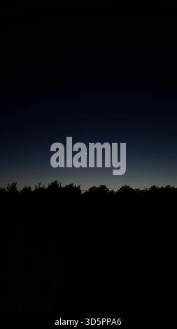 Un ciel crépusculaire serein avec un délicat croissant de lune et une brillante compagne céleste Vénus planant au-dessus de la silhouette sombre d'une forêt for Banque D'Images
