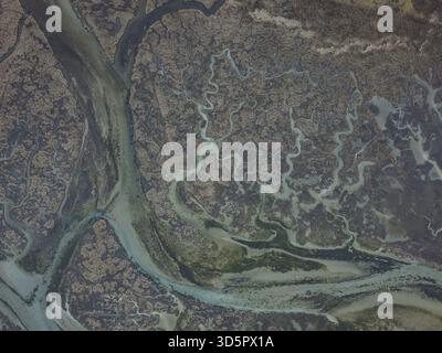 Vue aérienne des voies navigables sinueuses creusées à travers le paysage, mettant en valeur les motifs complexes de la nature dans des verts et des bruns doux, Carnota, Une Coruna, Banque D'Images