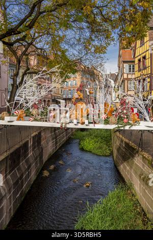 Décorations de Noël dans la vieille ville, Colmar, Haut-Rhin, Grand est, France Banque D'Images