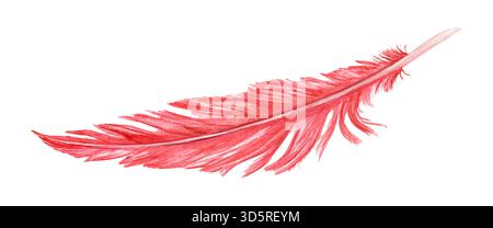 Illustration de plume d'oiseau unique rouge aquarelle sur fond isolé. Panache coloré de pigeon, de coq ou de mouette. Elément d'aile d'animal pour le carnaval Banque D'Images