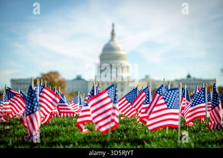 Bâtiment du Capitole des ÉTATS-UNIS avec drapeaux américains sur le National Mall Washington DC // WASHINGTON DC — des drapeaux américains sont affichés sur le terrain devant le bâtiment du Capitole des États-Unis, un monument emblématique sur le Capitole Hill. Ce bâtiment abrite la branche législative du gouvernement fédéral des États-Unis et est le lieu de rencontre du Sénat et de la Chambre des représentants. Situé à l'extrémité est du National Mall, le Capitole Building est un symbole de la démocratie américaine. Son architecture néoclassique, avec son dôme distinctif, est mondialement reconnue. Banque D'Images