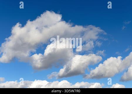 Nuages de cumulus blancs dérivant à travers un ciel bleu Banque D'Images