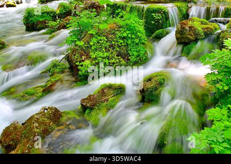 Ruisseau en cascade de montagne avec l'eau la plus pure coulant sur des pierres vertes moussues dans le parc de Tara Springs, Monténégro. Exposition lente Banque D'Images