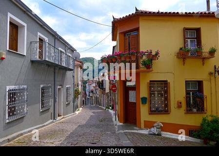 Une rue pavée escarpée dans le pittoresque village de montagne d'Agiasos sur l'île de Lesbos, en Grèce Banque D'Images