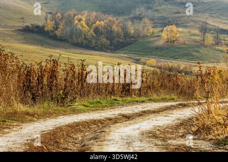 Un chemin de terre sinueux courbe à travers des collines parsemées d'arbres d'automne dorés dans la Roumanie rurale. Banque D'Images