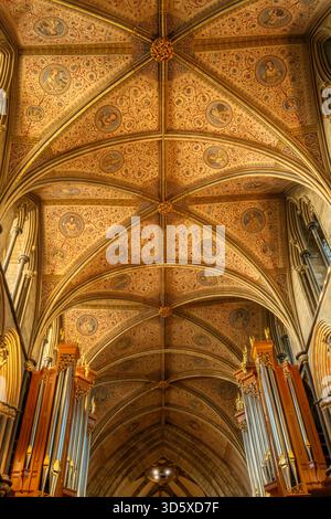 Worcester, Worcestershire - le magnifique plafond voûté de la cathédrale de Worcester. Cathédrale de Worcester, anciennement l'Église Cathédrale du Christ et BLE Banque D'Images
