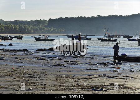 Chariot avec deux vaches sur la plage, bateaux de pêche en arrière-plan, plage, village de pêcheurs, plage de Ngapali, Thandwe, Birmanie, Birmanie, Myanmar Banque D'Images