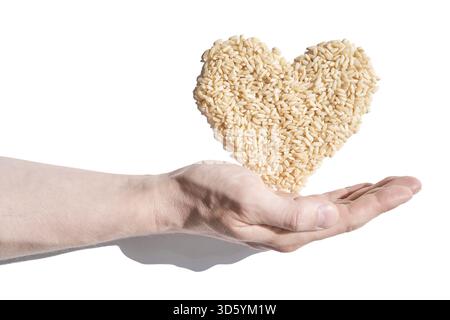 Un tas de riz en forme de cœur, symbolisant l'amour, l'unité et l'espoir. Les céréales, diversifiées et saines, reflètent la solidarité mondiale. Soins, santé et nutrition Banque D'Images