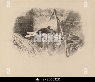 Peinture de Karl Bodmer montrant un pigeon sur son nid, mettant l'accent sur les détails naturalistes, l'anatomie des oiseaux, la posture et le comportement de nidification dans un style d'art de la faune du XIXe siècle. Banque D'Images