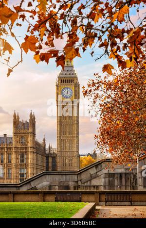 Belle vue automnale de la tour de l'horloge Big Ben à Westminster, Londres, Angleterre, pendant une journée ensoleillée avec des feuilles dorées sur les arbres Banque D'Images