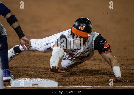 HERMOSILLO, MEXIQUE - 11 NOVEMBRE : Jesus Loya des Naranjeros de Hermosillo revient en toute sécurité à la première base de la deuxième manche, lors du match de la Liga Mexicana del Pacifico entre Naranjeros de Hermosillo et Algodoneros de Guasave à l'Estadio Fernando Valenzuela le 11 novembre 2025 à Hermosillo, Mexique. (Photo de Luis Gutierrez/Norte photo) Banque D'Images
