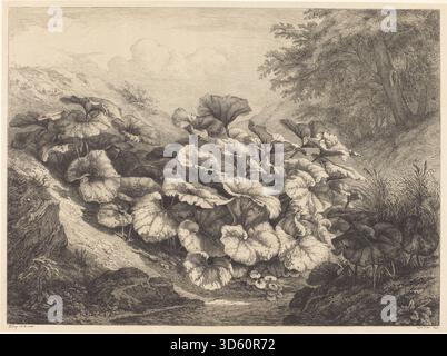 Illustration botanique d'Eugène Bléry de 1843 représentant une grande plante pied-de-poule, montrant ses larges feuilles, ses tiges fleuries et sa structure naturelle détaillée. Banque D'Images