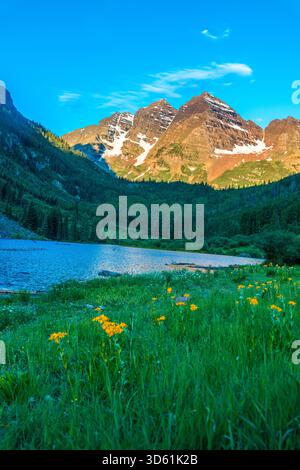 Fleurs sauvages fleurissant le long du rivage du lac Maroon avec les sommets de montagne Maroon Bells en arrière-plan, Aspen, Colorado, États-Unis. Banque D'Images