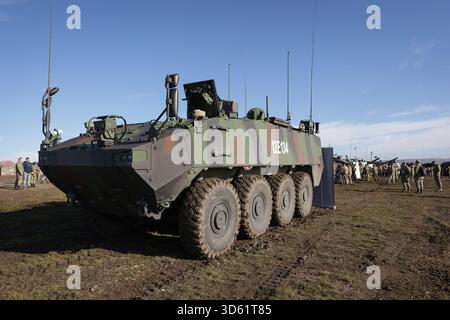 Cincu, Roumanie - 13 novembre 2025 : véhicule blindé Piranha V de l'armée roumaine lors de l'exercice multinational Dacian automne 2025. Banque D'Images