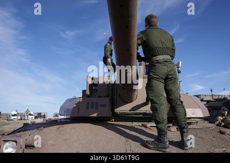 Cincu, Roumanie - 13 novembre 2025 : militaires de chars pendant l'exercice multinational Dacian Fall 2025. Banque D'Images
