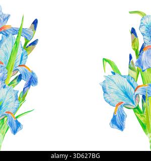 Fleurs d'iris bleues. Illustration de fond de cadre carré aquarelle isolée sur blanc avec espace de copie pour invitation et cartes de mariage floral mignon, journal Banque D'Images