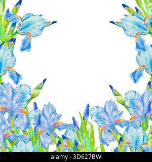 Fleurs d'iris bleues. Illustration de fond de cadre carré aquarelle isolée sur blanc avec espace de copie pour invitation et cartes de mariage floral mignon, journal Banque D'Images