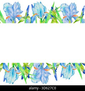Fleurs d'iris bleues. Illustration de fond de cadre carré aquarelle isolée sur blanc avec espace de copie pour invitation et cartes de mariage floral mignon, journal Banque D'Images