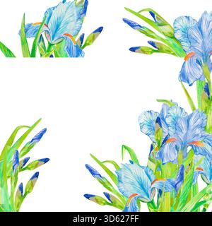 Fleurs d'iris bleues. Illustration de fond de cadre carré aquarelle isolée sur blanc avec espace de copie pour invitation et cartes de mariage floral mignon, journal Banque D'Images