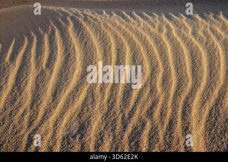 Fond de texture de motif d'ondulation de vent de sable ondulé de plage Banque D'Images