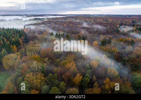 Vue aérienne de la brume curling à travers le feuillage automnal vibrant des Chilterns, une tapisserie d'or et de roux sous un ciel gris, les Chilterns AONB, Banque D'Images
