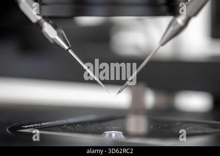 PRODUCTION - 26 septembre 2025, Brême : pipettes d'un micro-injecteur, prélevées dans le laboratoire du cabinet Kinderwunsch Brême à Brême-Schwachhausen. L'injection intracytoplasmique de spermatozoïdes (ICSI), une méthode d'insémination artificielle dans laquelle un seul sperme est injecté directement dans un ovule prélevé à l'aide d'une aiguille fine, est l'un des domaines de travail de la pratique. Photo : Focke Strangmann/dpa Banque D'Images