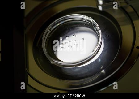 PRODUCTION - 26 septembre 2025, Brême : les ovules et les spermatozoïdes sont préparés pour l'injection intracytoplasmique de spermatozoïdes (ICSI) à la clinique Kinderwunsch Brême à Brême-Schwachhausen. L'injection intracytoplasmique de spermatozoïdes (ICSI), une méthode d'insémination artificielle dans laquelle un seul sperme est injecté directement dans un ovule prélevé à l'aide d'une aiguille fine, est l'un des domaines de travail de la pratique. Photo : Focke Strangmann/dpa Banque D'Images
