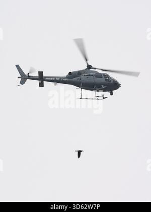 Illustration - hélicoptère de l'armée de l'air française vu le 11 novembre 2025 à Paris, France. Photo Mario Fourmy/ABACAPRESS.COM Banque D'Images