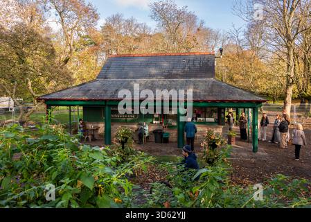 Maison d’été de Servini à Bute Park, Cardiff, encadrée par un riche feuillage d’automne lors d’une journée de novembre lumineuse et croustillante dans le sud du pays de Galles : Phillip Roberts Banque D'Images