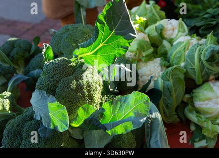 La lumière tôt le matin illumine le brocoli frais sain et le chou-fleur dans un marché local en plein air, Banque D'Images