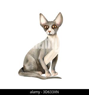 Le chat sans poils Sphynx est assis. Animal domestique à peau chauve avec de grandes oreilles, des yeux jaunes. Animal mignon, chatte grise. Illustration isolée à l'aquarelle. Main Banque D'Images