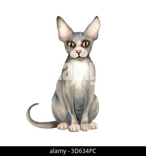 Chat sans poils Sphynx. Kitty avec la peau chauve avec des plis, animal domestique gris avec de grandes oreilles, les yeux jaunes. Joli animal de compagnie gris magnifique. Aquarelle isolée Banque D'Images