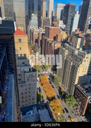 Vue en grand angle de Park Avenue à Murray Hill avec feuillage d'automne orange vif dans la médiane, 2025, New York City, États-Unis Banque D'Images