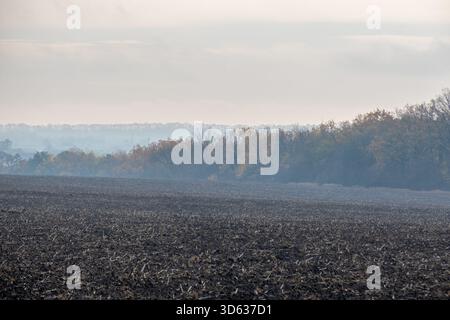 Large paysage horizontal d'un champ sombre et fraîchement labouré au premier plan. Une ligne forestière brumeuse et silencieuse se dresse contre un ciel couvert, symbolisant la transition vers la fin de l'automne et la saison des récoltes. Banque D'Images