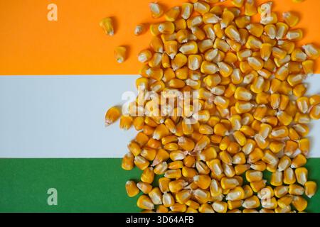 Grains de maïs sur un fond de drapeau indien. Le commerce du maïs indien est un marché en pleine croissance stimulé par la demande de denrées alimentaires, d'aliments pour animaux et de biocarburants (éthanol). Banque D'Images