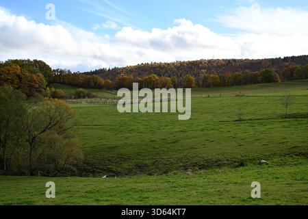 Le paysage autour de Dedenborn dans le nord de l'Eifel, Allemagne Banque D'Images