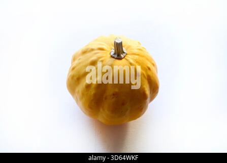 Citrouilles jaunes ornementales isolées sur un fond blanc. Concepts de récolte, d'automne et d'Halloween. Vue de dessus. Banque D'Images